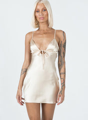 Hadleigh Mini Dress Champagne