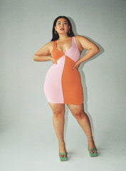 Sienna Mini Dress Pink Curve