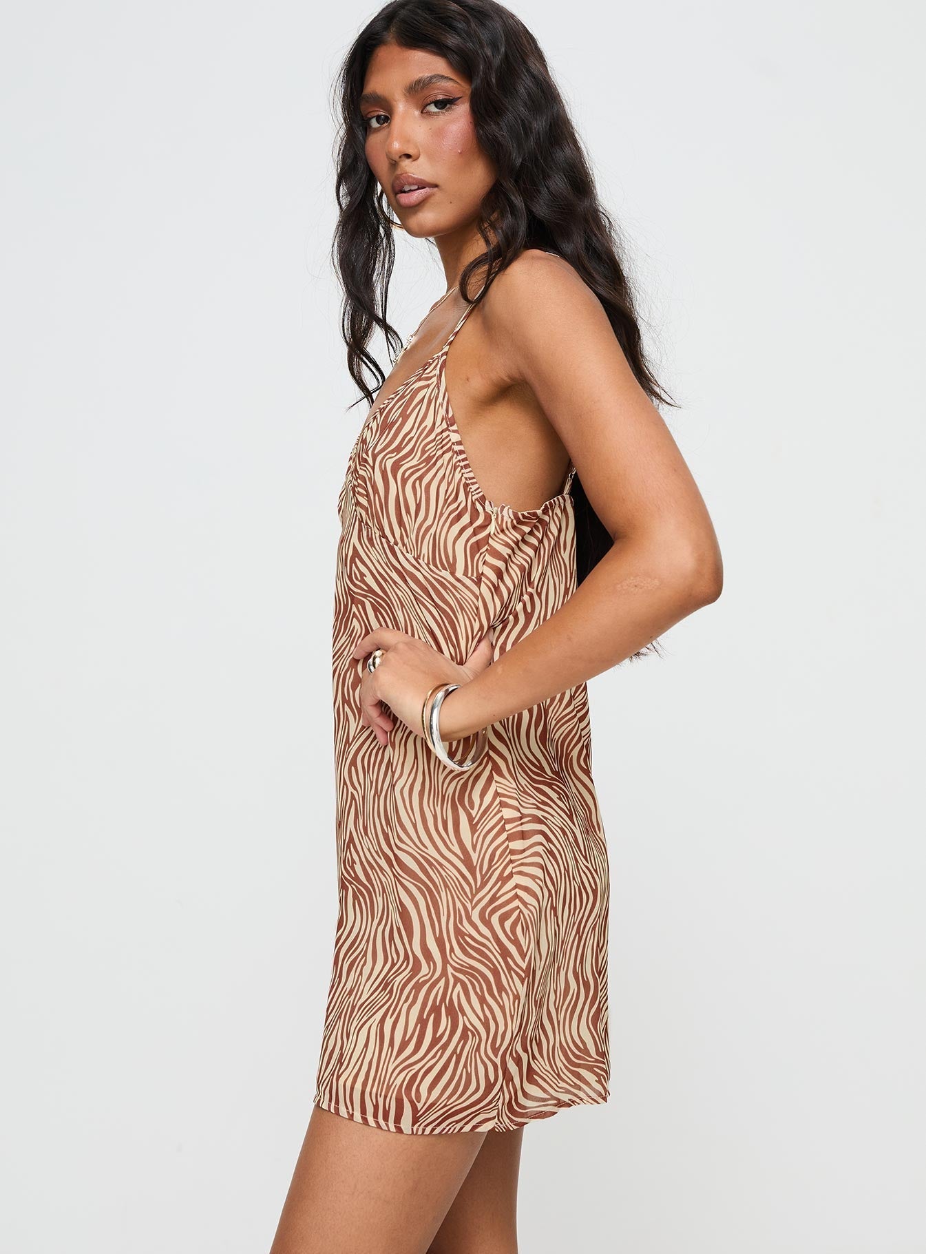 Akari Mini Dress Brown Zebra